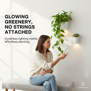 Sconce Planters Bundle