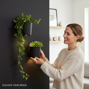 Sconce Planters Bundle