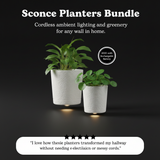 Sconce Planters Bundle
